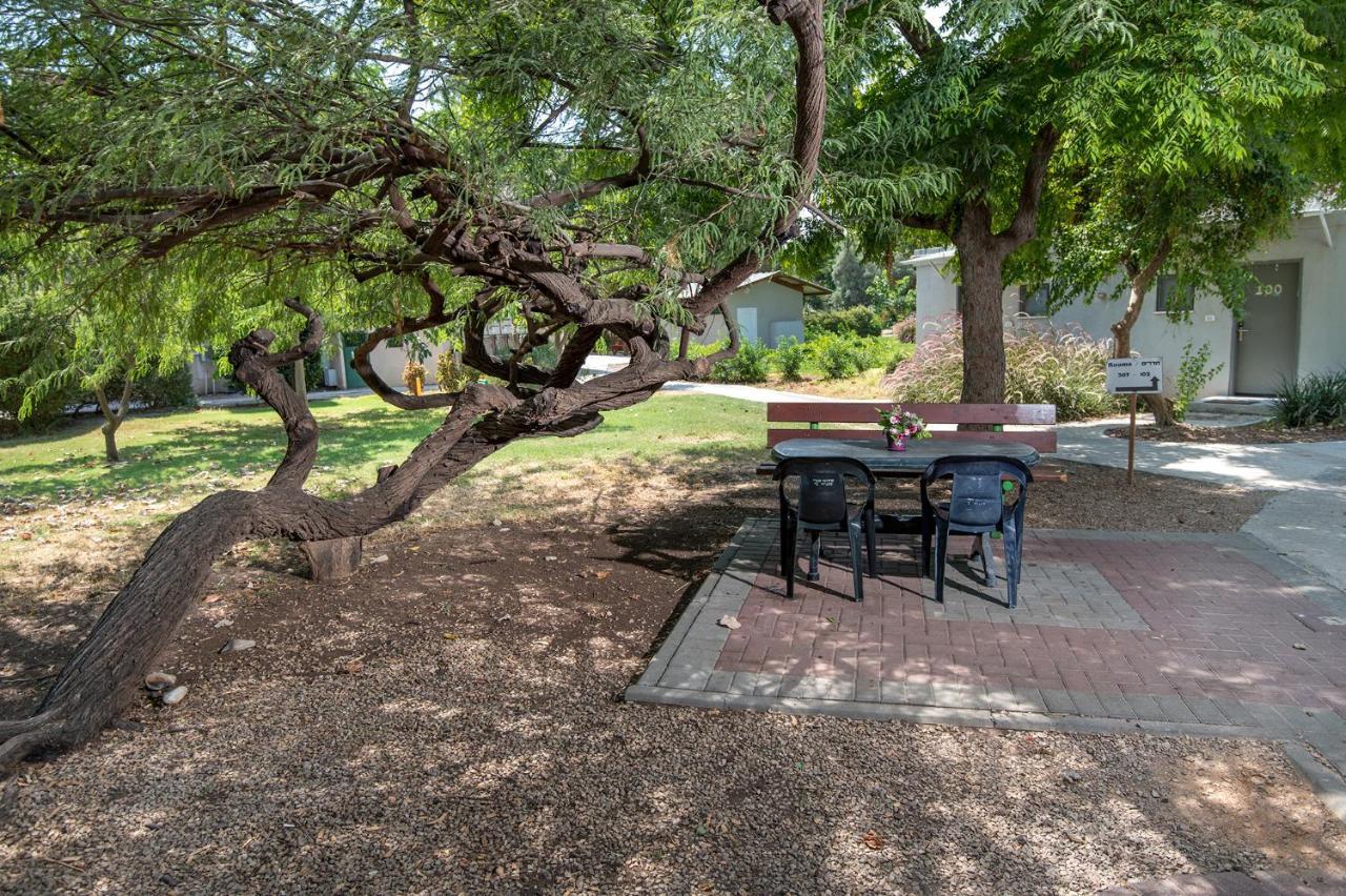 Degania Bet Kibbutz Country Lodging Kinneret Exterior foto